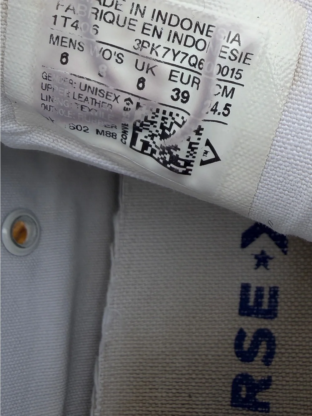 Converse White High-Top Sneakers